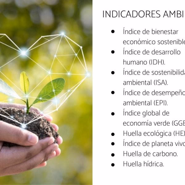¿Qué son los indicadores de comportamiento medioambiental?