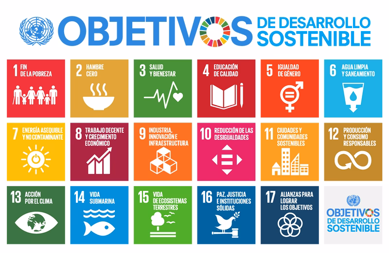 ¿Qué son los indicadores de Desarrollo Sustentable?