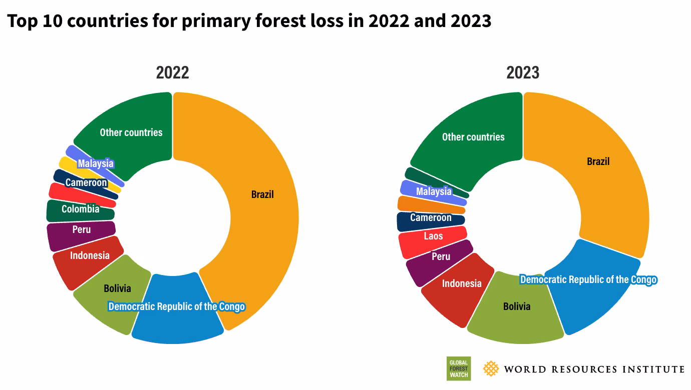 What are the deforestation and degradation rates in ILS compared to non-protected areas?