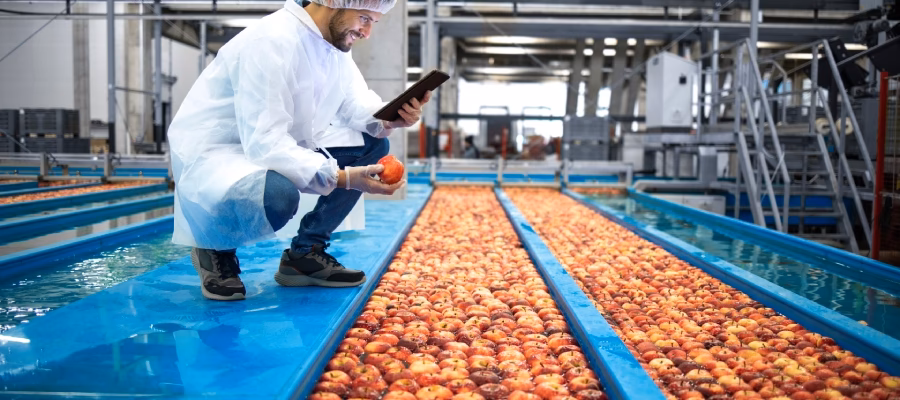 ¿Cuáles son las industrias que dañan el Medio Ambiente y la salud?