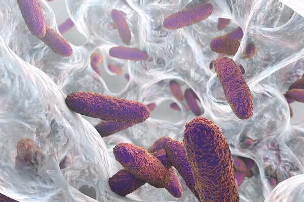 ¿Cómo afectan los biofilms a las industrias?