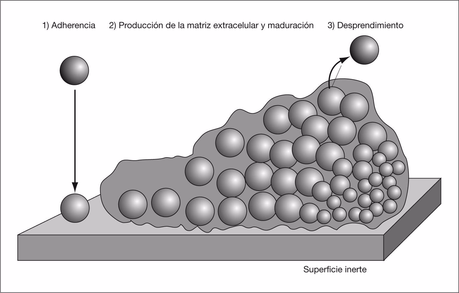¿Cómo afecta el ambiente físico al comportamiento?