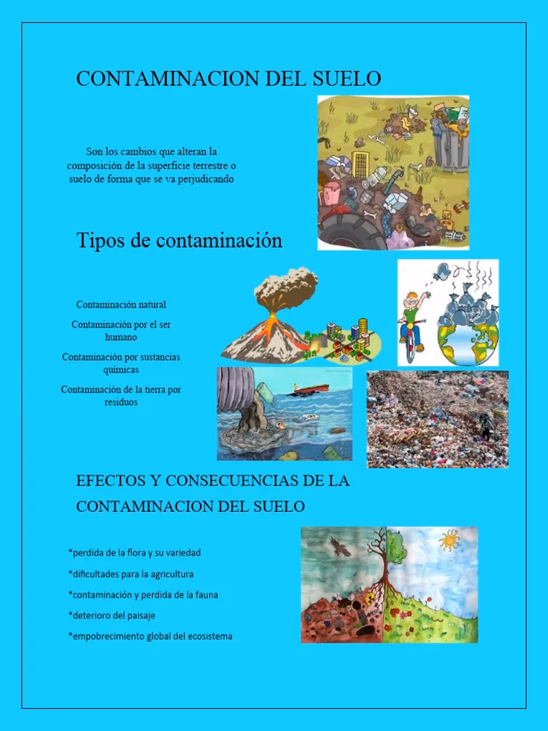 ¿Cuáles son los artículos de la Ley de contaminación del suelo?