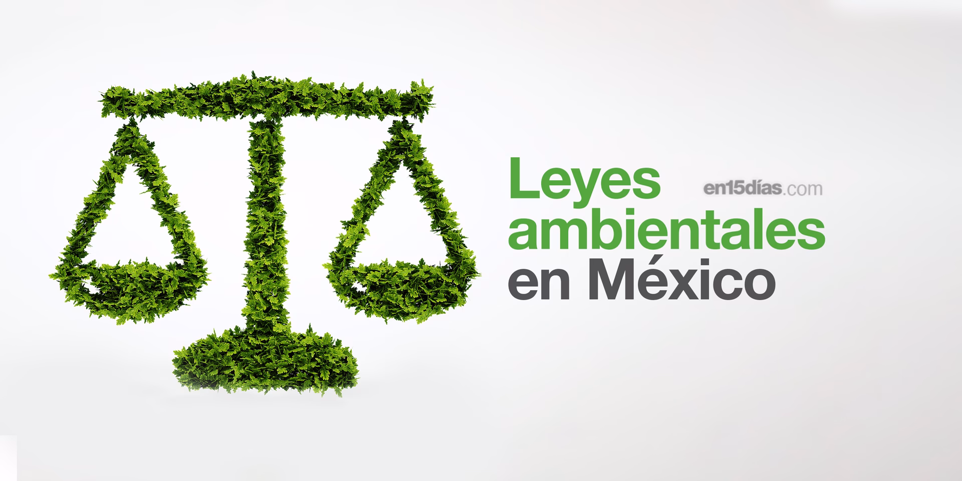 ¿Cuáles son las leyes ambientales?