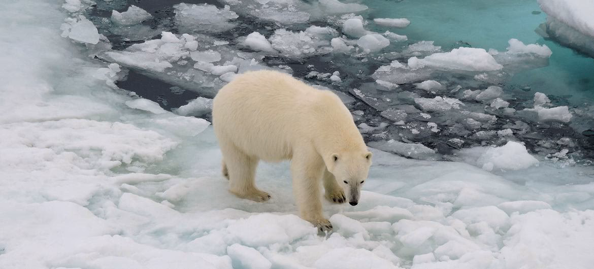 ¿Cuáles son las causas del crecimiento de los lagos glaciares?