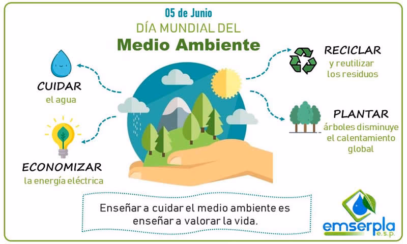 ¿Por qué es importante el cuidado del Medio Ambiente?