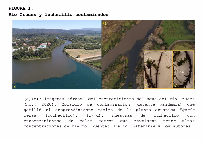 ¿Cuáles son los ríos más contaminados?
