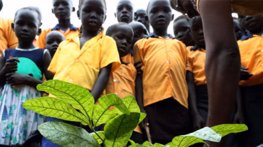 ¿Qué implica afrontar la emergencia climática?