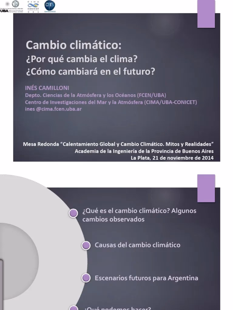 ¿Quién es Inés Camilloni?