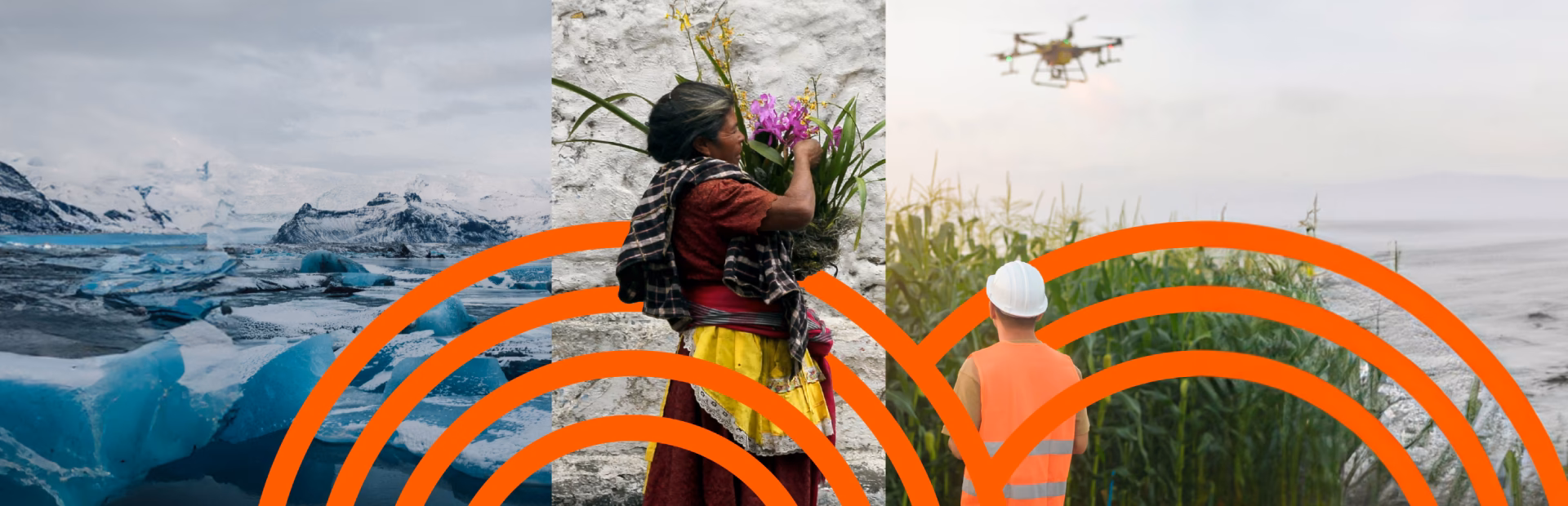 ¿Qué es el informe de sostenibilidad del BID?