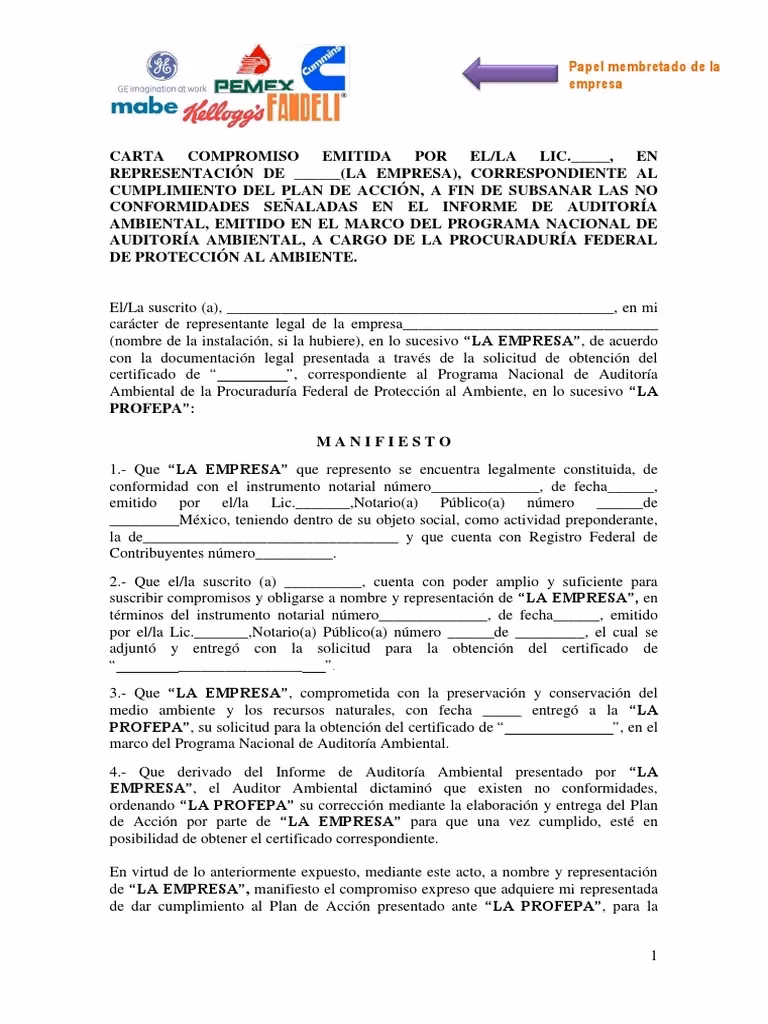 ¿Quién revisa el informe ambiental estratégico?