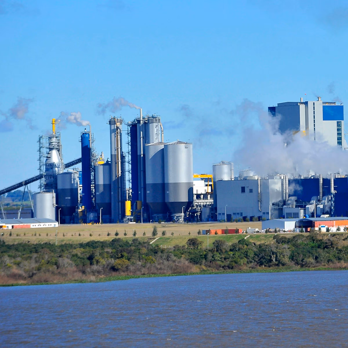 ¿Cuándo comenzará el monitoreo inicial del río Uruguay?