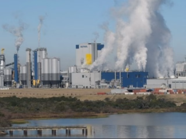 ¿Cuál es la periodicidad de los informes de contaminación?