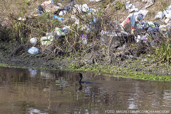 ¿Qué pasa con el agua del río Reconquista?