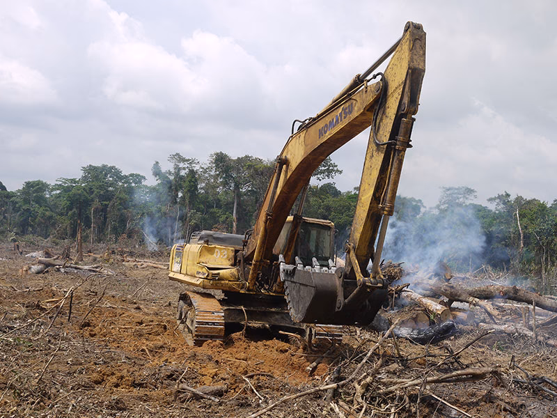 Does investing in transportation infrastructure cost deforestation?