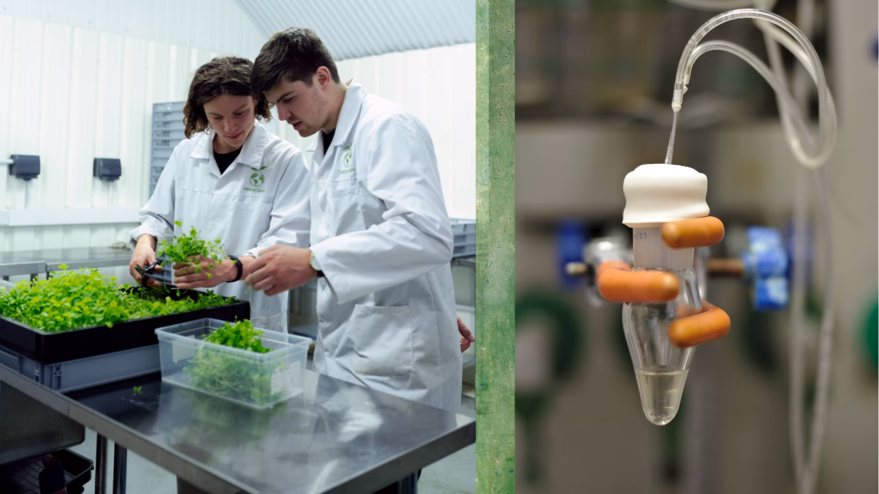 ¿Cómo influye la química en el medio ambiente?