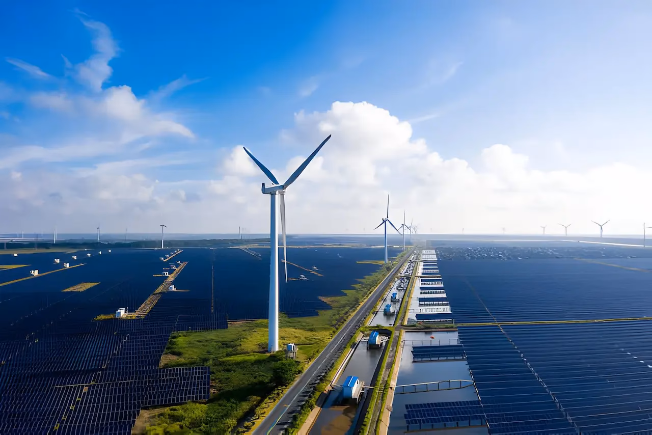 ¿Qué hace un ingeniero en Recursos Naturales Renovables?