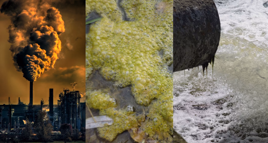 ¿Cómo penetran los contaminantes al interior del cuerpo?