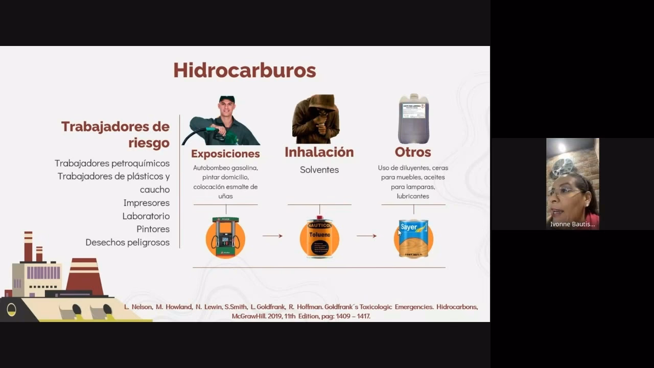 ¿Cuáles son los efectos de los hidrocarburos?