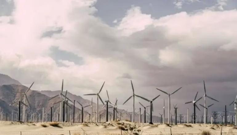 ¿Cuáles son los beneficios del desarrollo sustentable?