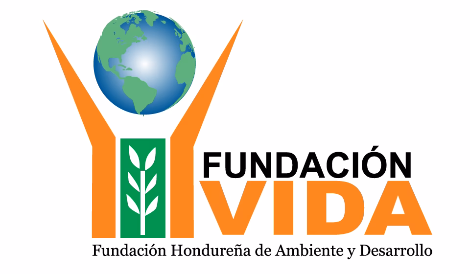 ¿Cuáles son los representantes de la comunidad ambiental en Honduras?