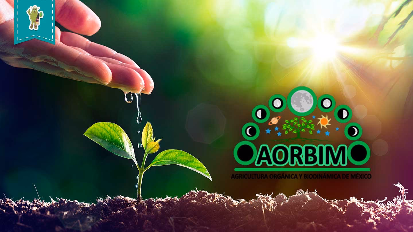 ¿Qué insumos se utilizan en cultivos orgánicos?