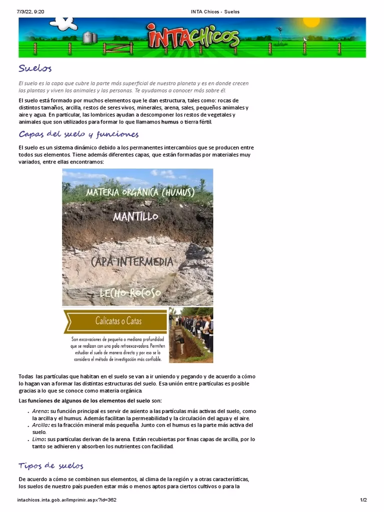 ¿Qué es INTA chicos?