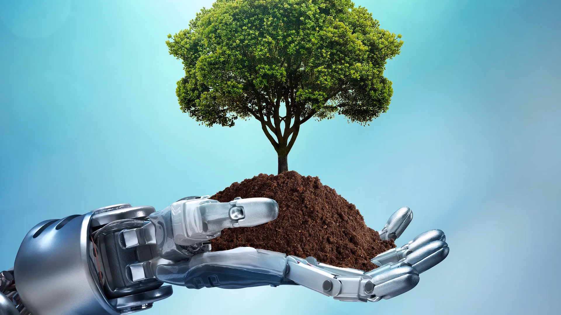 ¿Qué soluciones de inteligencia artificial ayudan a cuidar el entorno?