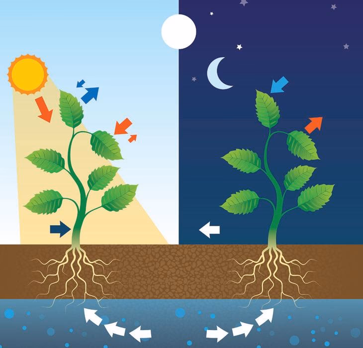 ¿Qué es el intercambio de la materia?