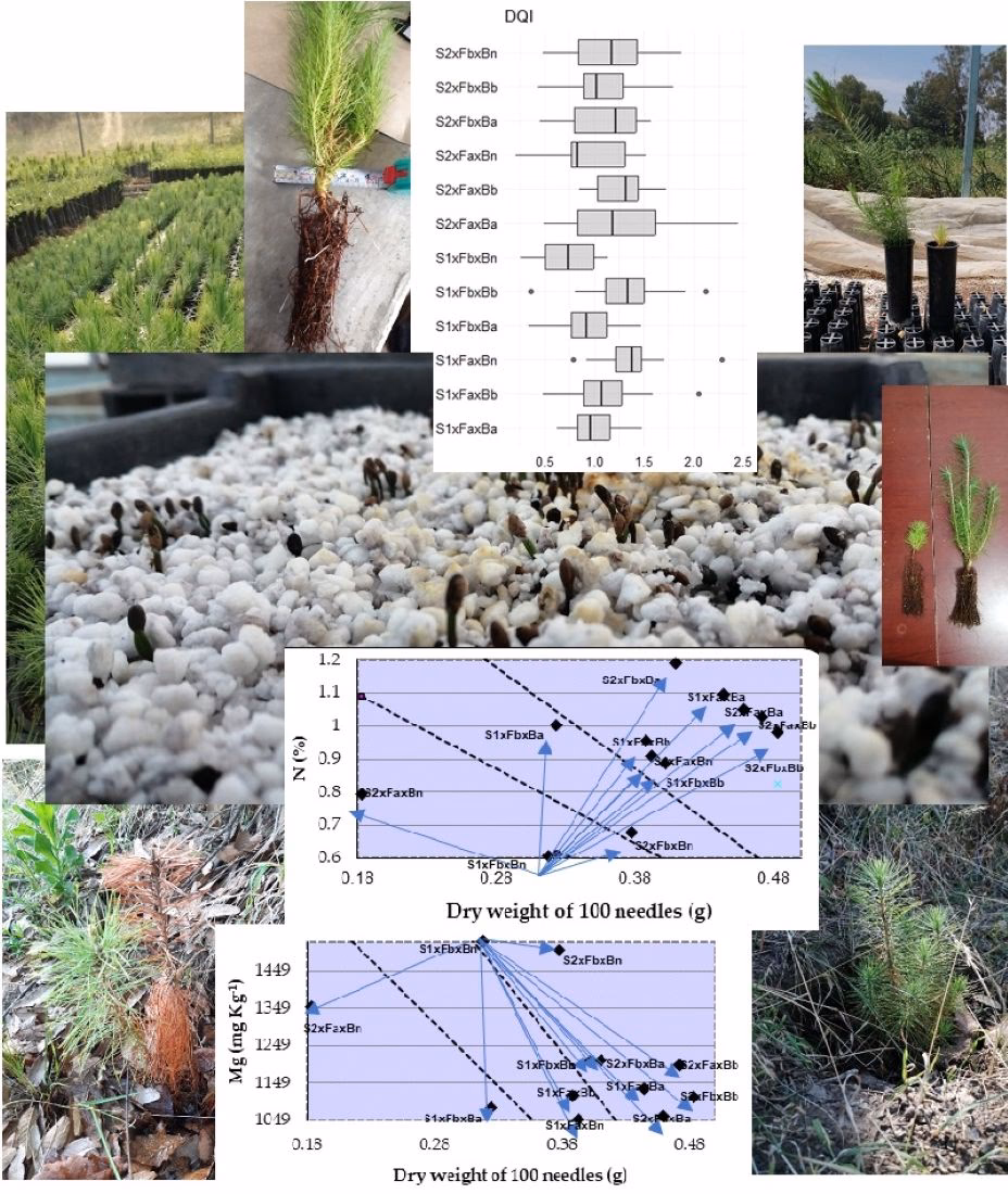 What happened to International Journal of recycling of organic waste in agriculture?