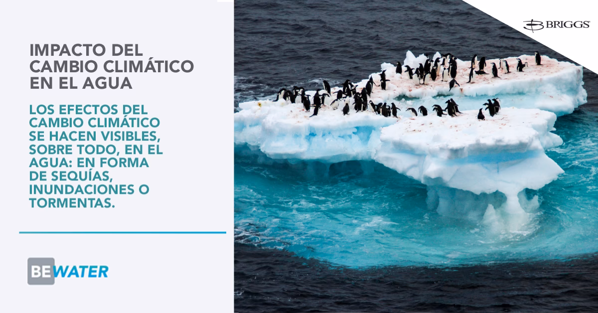 ¿Qué es la evaluación de los efectos del cambio climático?