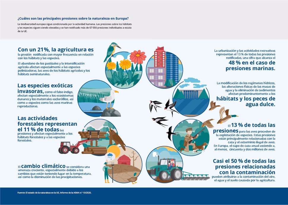 ¿Cuáles son los derechos de las personas que desarrollan actividades susceptibles de degradar el medio ambiente?