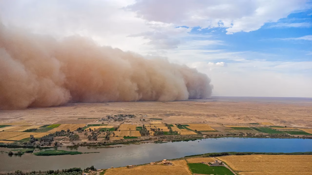 ¿Cuáles son las consecuencias de la salinización en Irak?