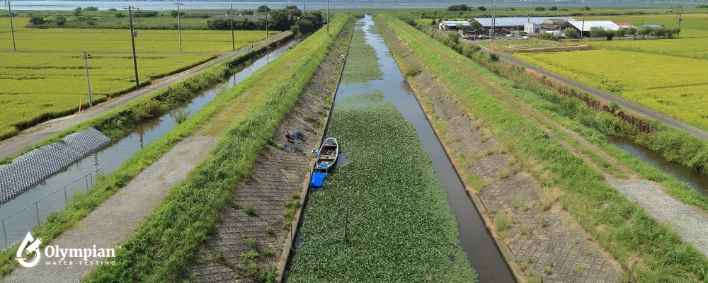 What is sub-irrigation or seepage irrigation?