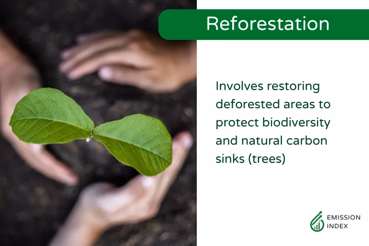 How does reforestation affect local people?