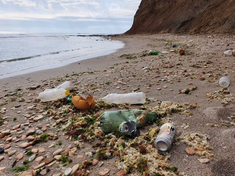 What are the major environmental issues in the Black Sea?