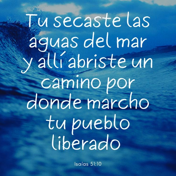 ¿Qué dice la Biblia sobre la contaminación de la Tierra?