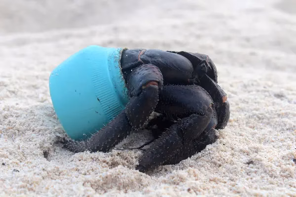 ¿Cuántas toneladas de plástico hay en la isla deshabitada?