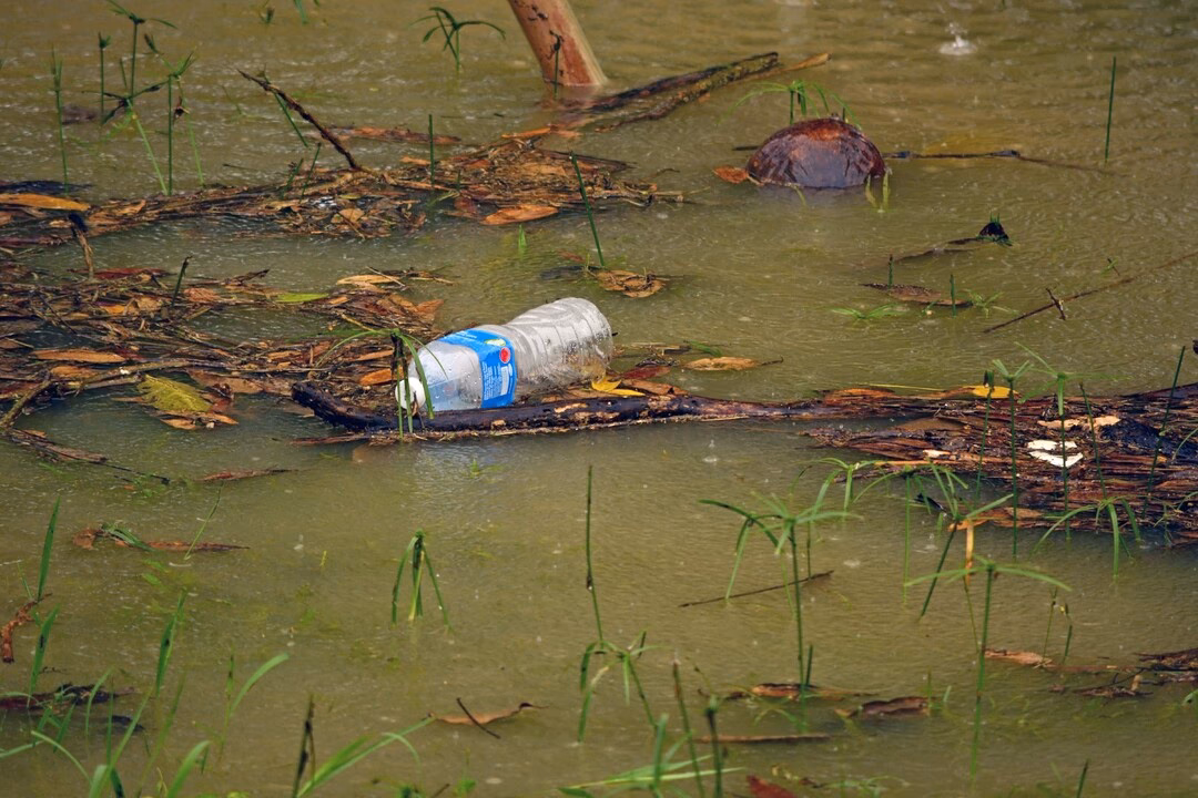 ¿Qué contamina más el detergente o el jabón?