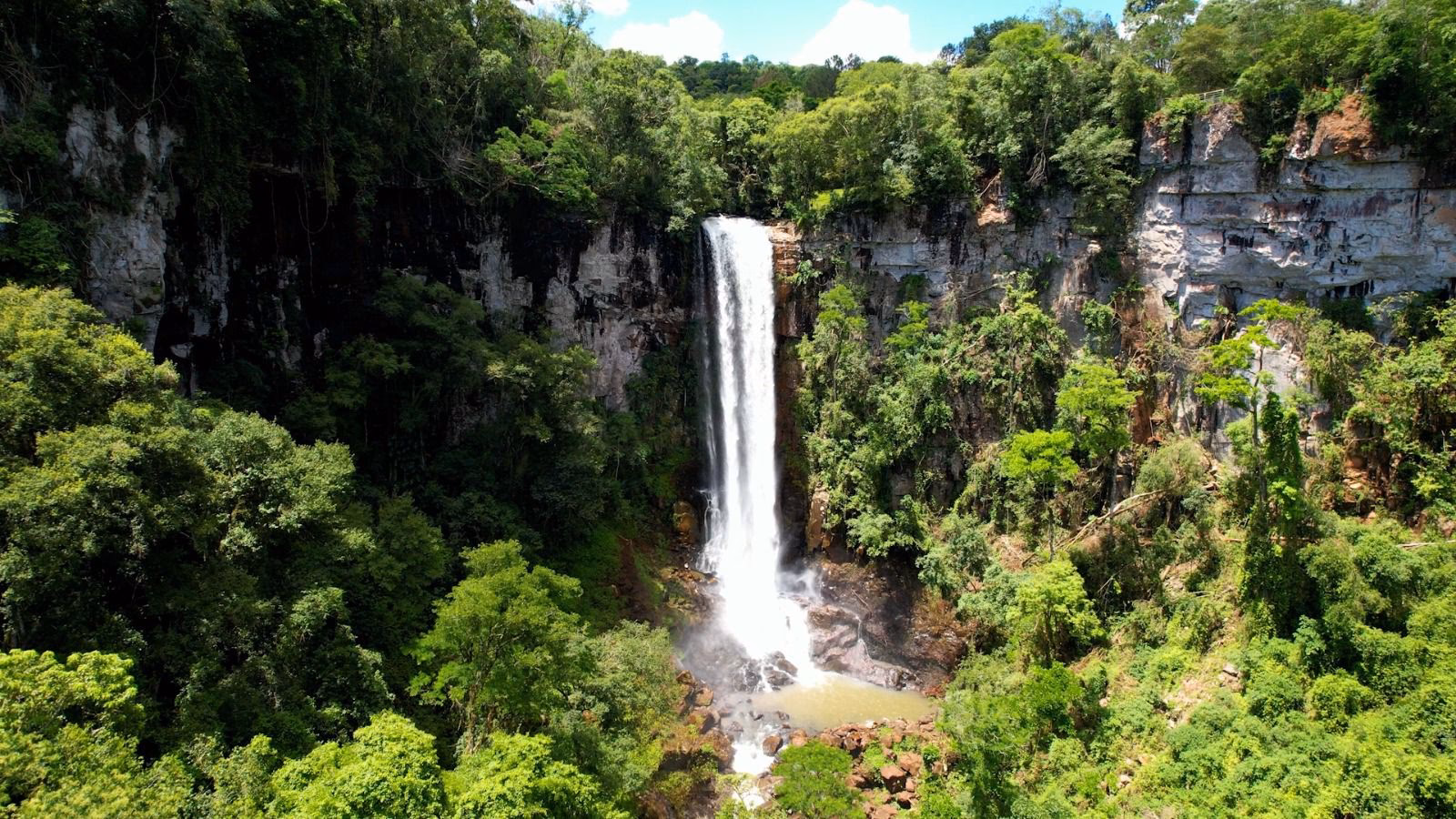 ¿Qué es la conservación del Medio Ambiente?