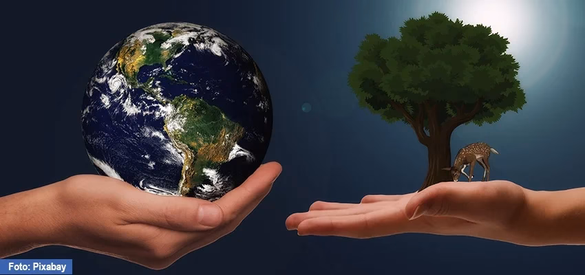 ¿Qué es la práctica de las redes en las luchas por la justicia ambiental?