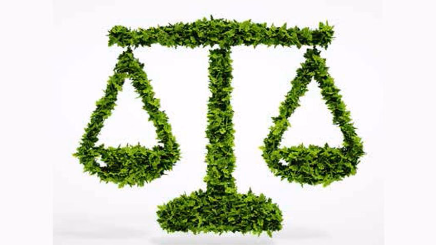 ¿Qué es la injusticia ambiental?