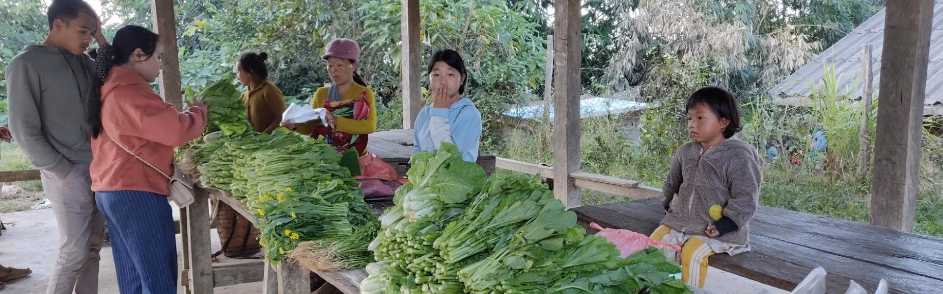 ¿Cuál es la visión de la agricultura orgánica?
