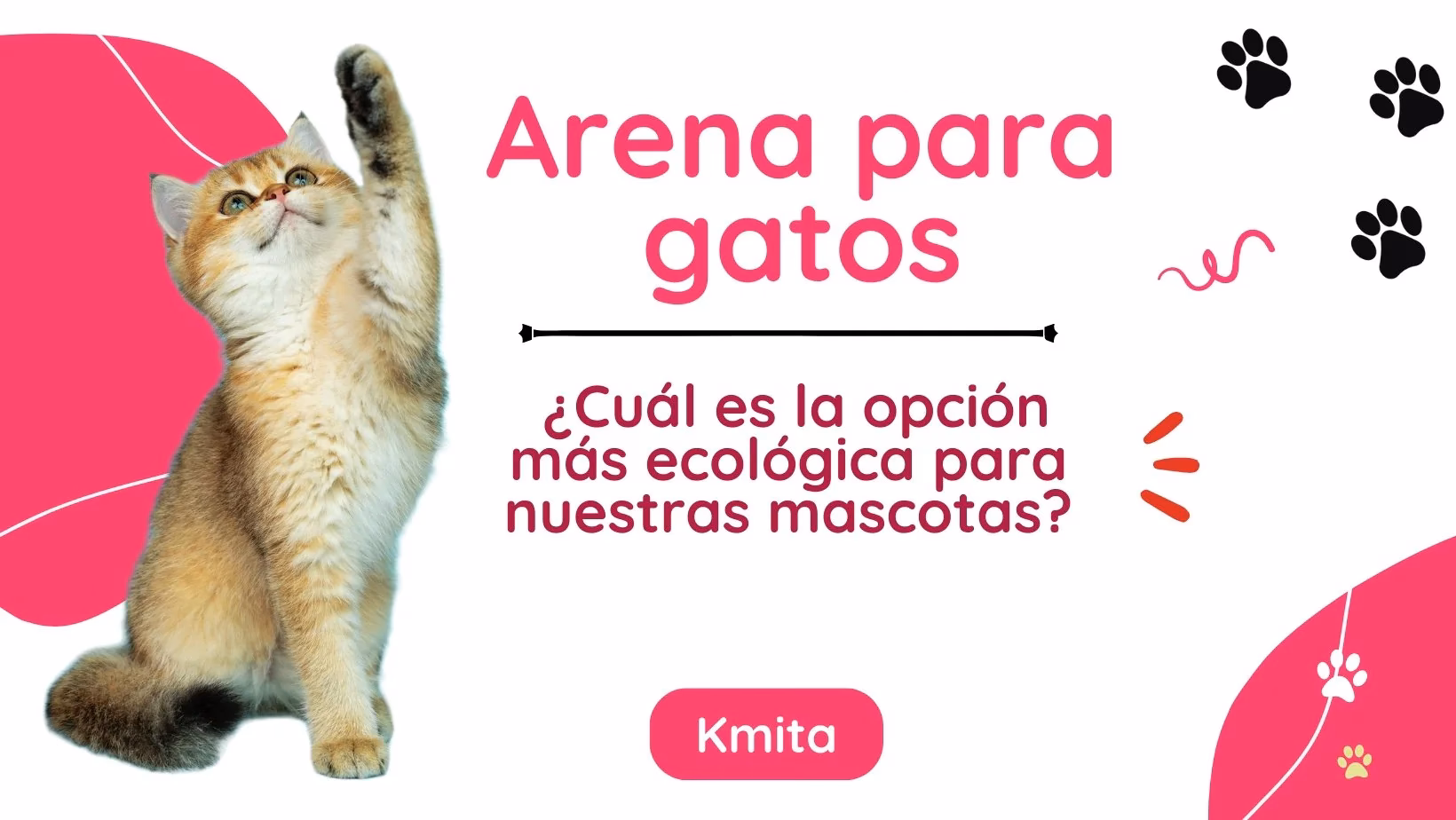 ¿Cómo se recicla la arena de gato?
