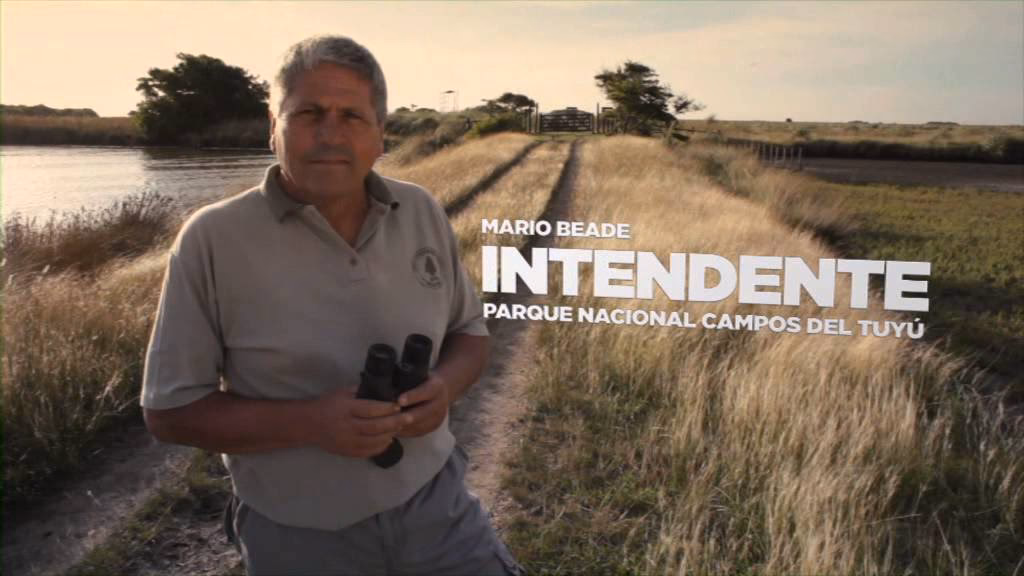 ¿Cuál es el tipo climático más característico en la bahía Samborombón?