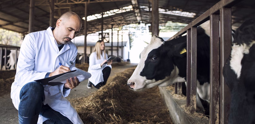 ¿Cuántos casos de brucelosis hay en México?