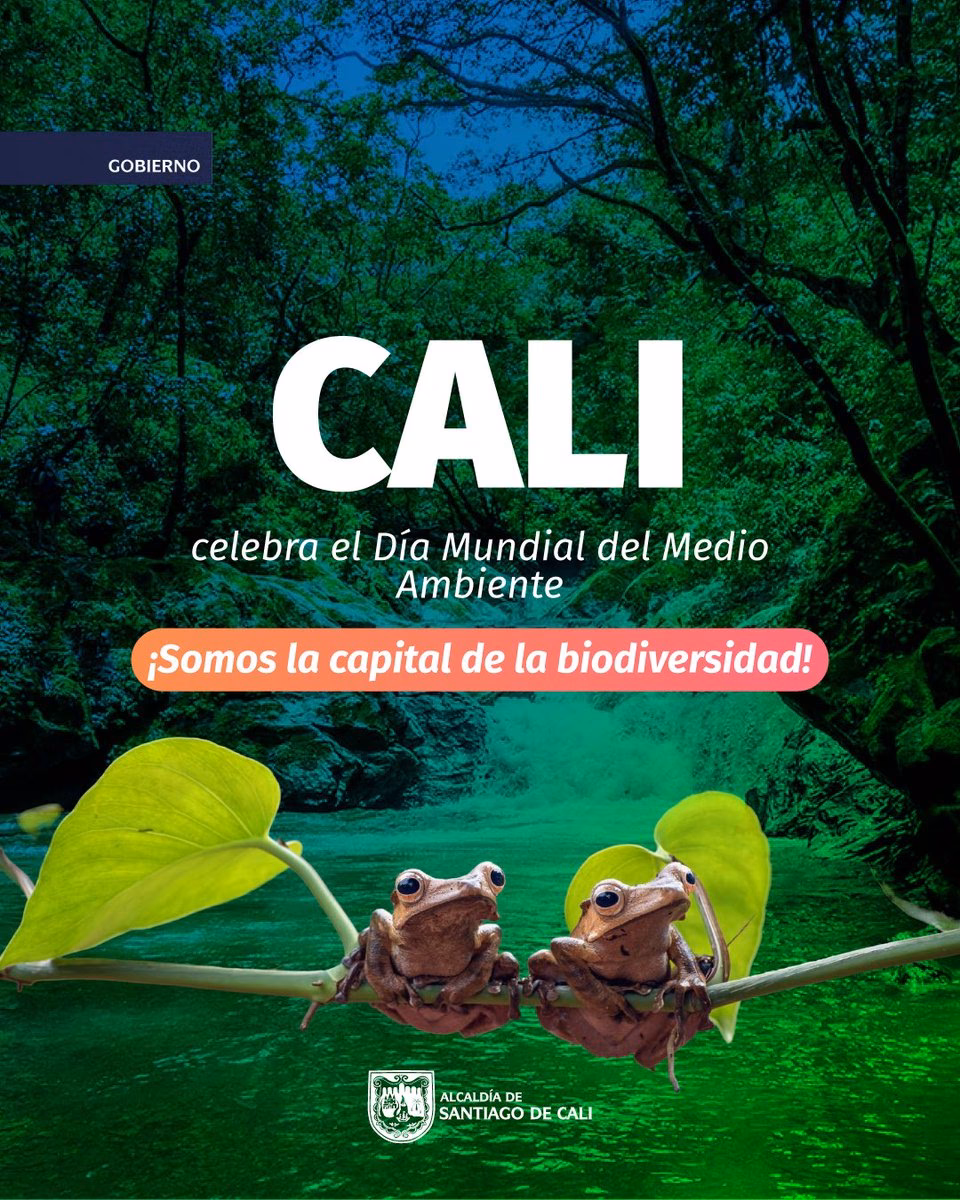 ¿Cuál es la importancia del Medio Ambiente y el capital natural?