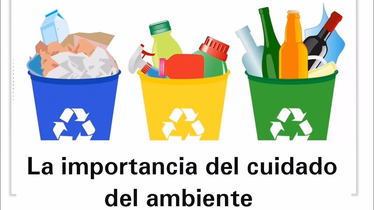 ¿Cuáles son las áreas de estudio de la ciencia ambiental?