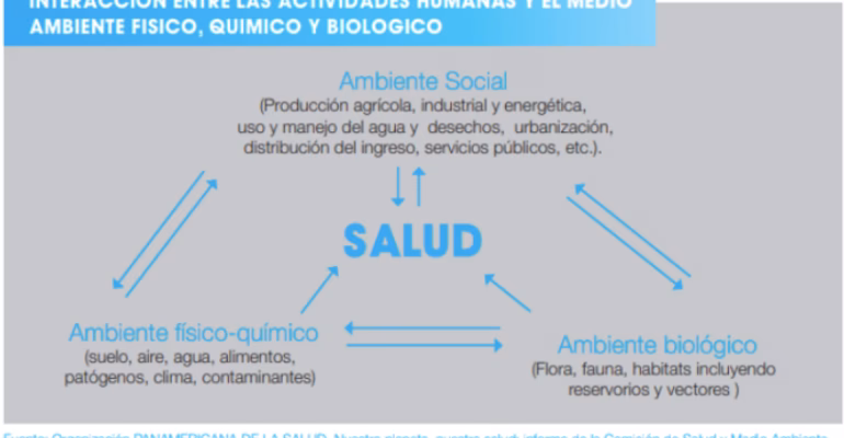 ¿Cuáles son los determinantes ambientales de la salud?