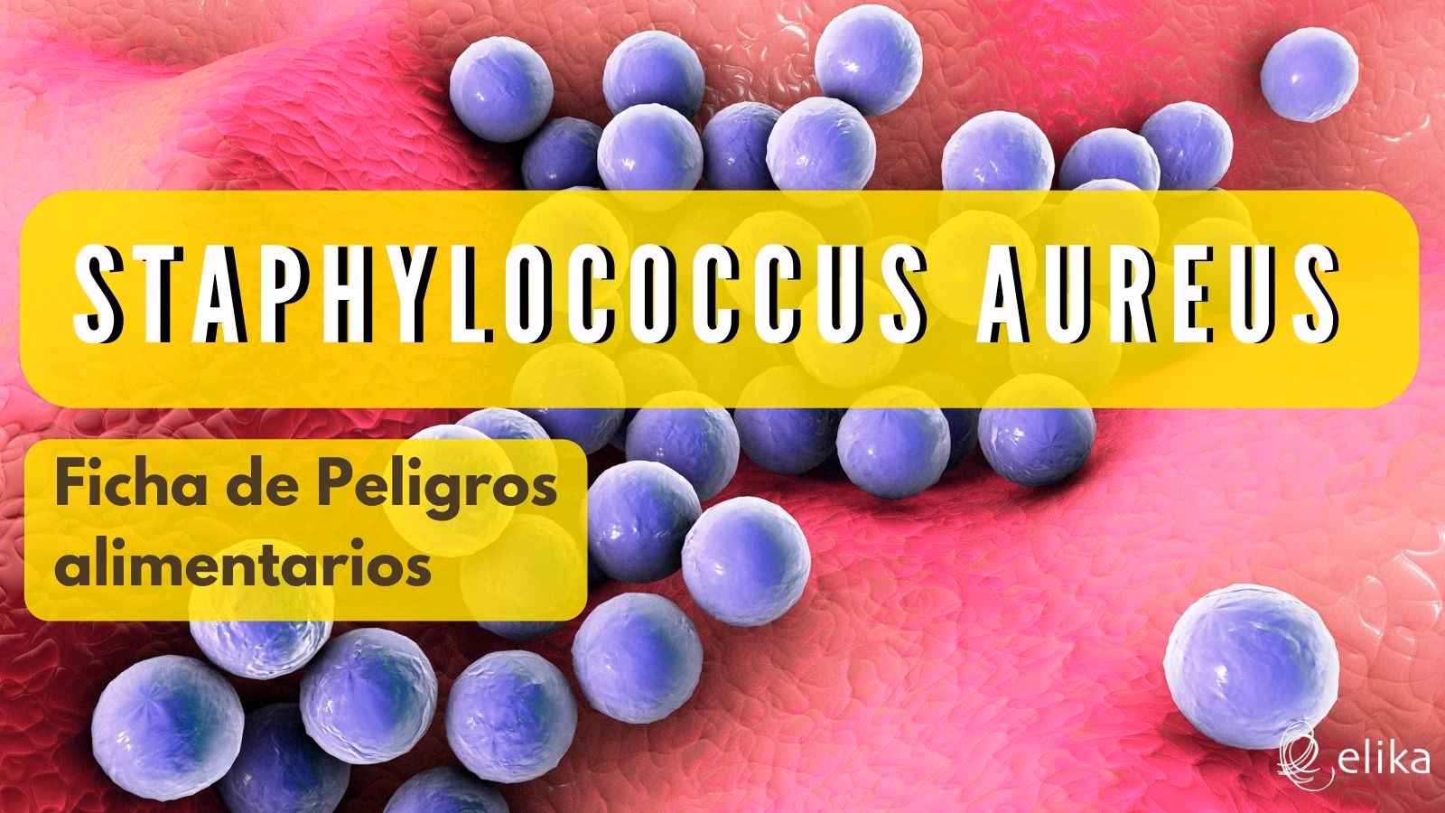 ¿Qué es la toxina de Staphylococcus?
